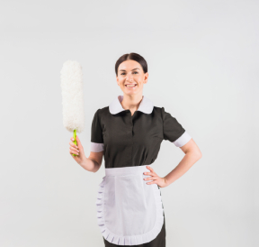 Maid Services